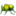 🪲