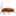 🪳